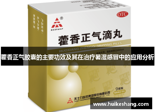 藿香正气胶囊的主要功效及其在治疗暑湿感冒中的应用分析